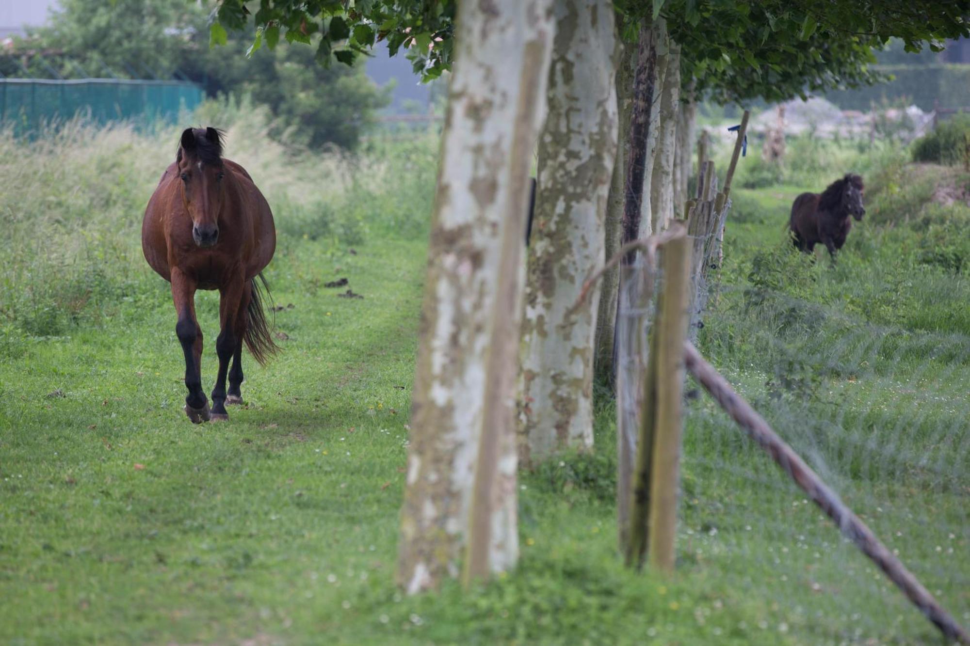 Boutique Hotel Het Zoete Zijn Borgloon Zewnętrze zdjęcie